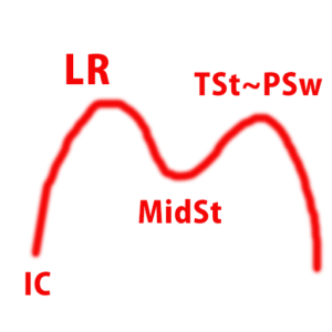 歩行床反力の2峰性